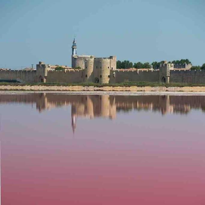 Maison Chaleureuse A 5 Mins Des Remparts Эг-Морт Экстерьер фото